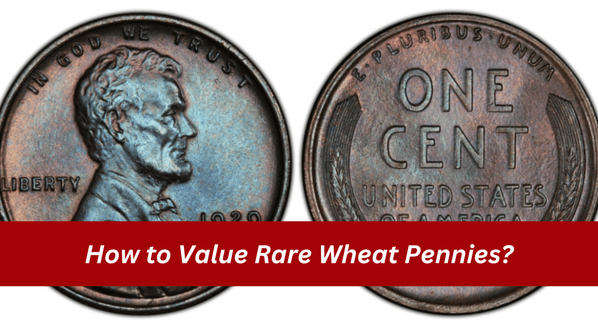 How to Value Rare Wheat Pennies?