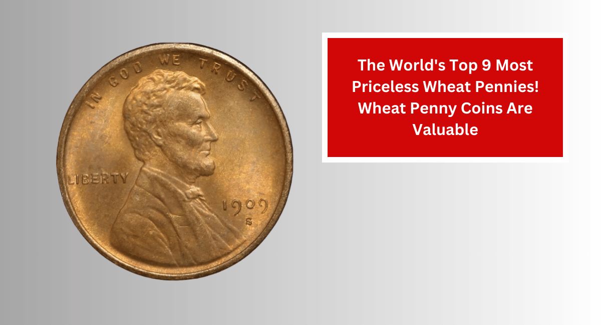 The World's Top 9 Most Priceless Wheat Pennies! Wheat Penny Coins Are Valuable